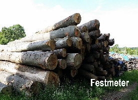 NetObjects Fusion Essentials