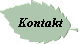 Kontakt